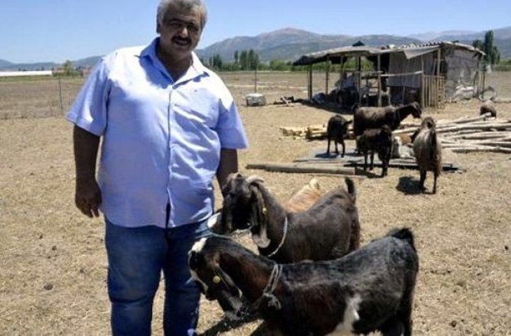 Klub asal Turki Gulspor menjual 18 pemain demi membei 10 kambing (Twitter)