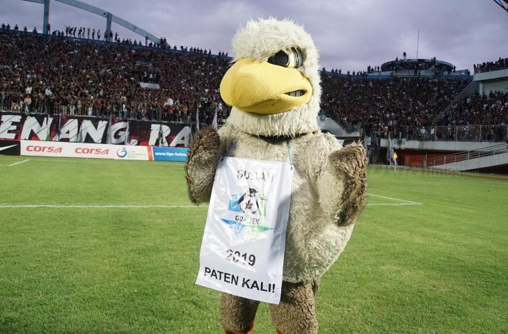 Maskot PSS Sleman, Falcao berfoto usai PSS Sleman dipastikan promosi ke Liga 1 2019 (Stephanus Aranditio/chatwithamelia.xyz)