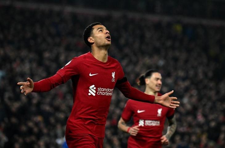 Penyerang Liverpool Cody Gakpo (kiri) merayakan gol kedua ke gawang Everton di Anfield di Liverpool, barat laut Inggris pada 13 Februari 2023. (AFP/Paul Ellis)