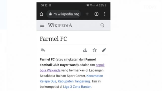 Tangkapan layar laman wikipedia tentang klub Farmel FC